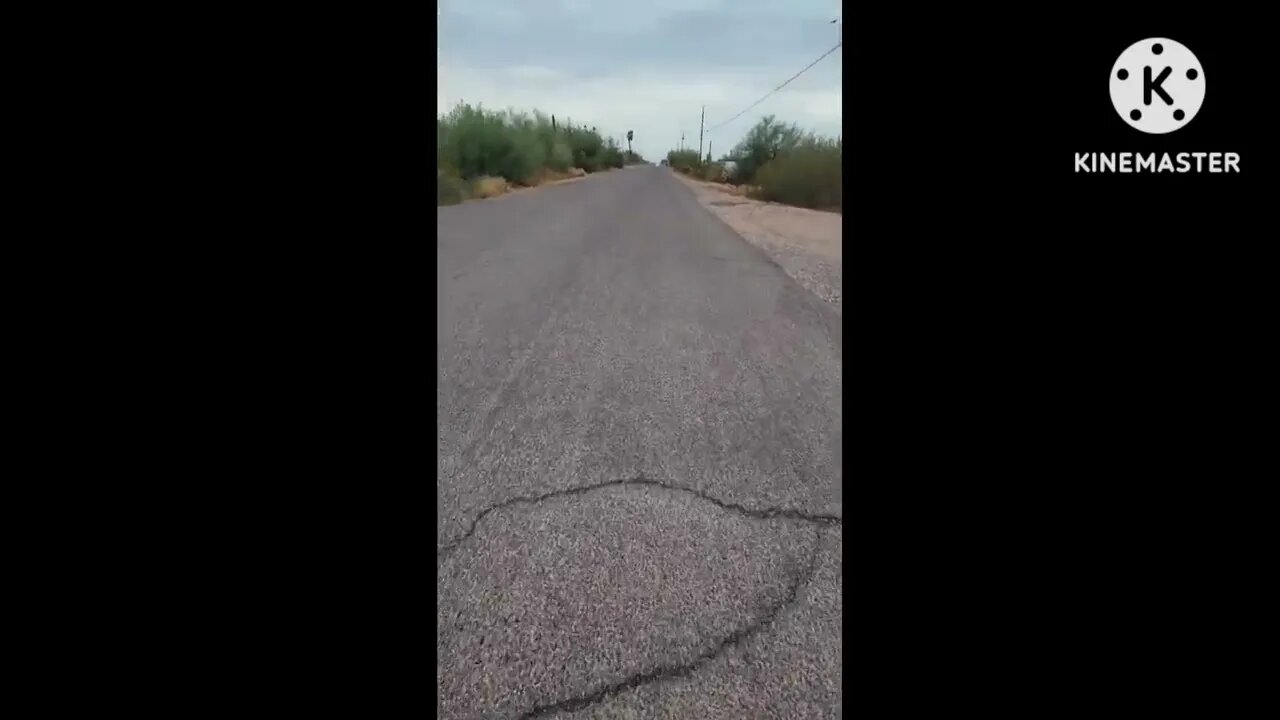 Going on a walk and working on walking nicely.