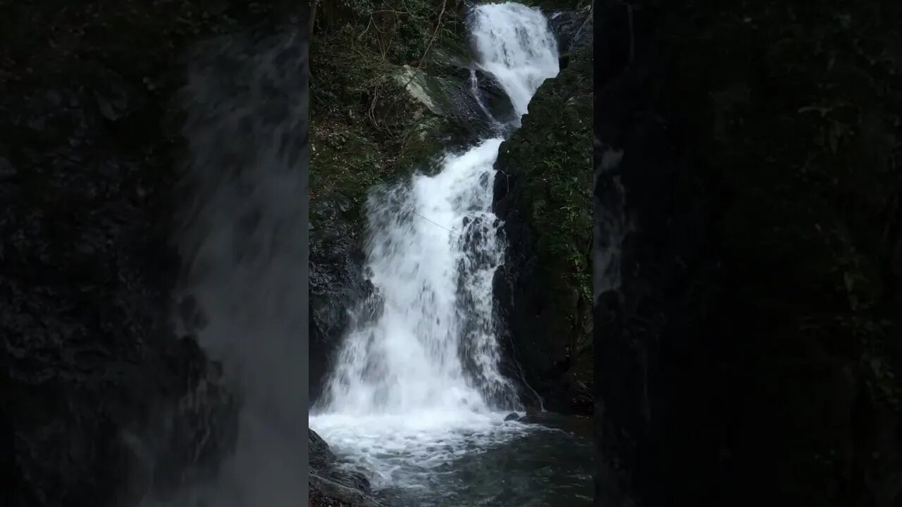 癒しの滝の音・Healing Water Sounds. #shorts