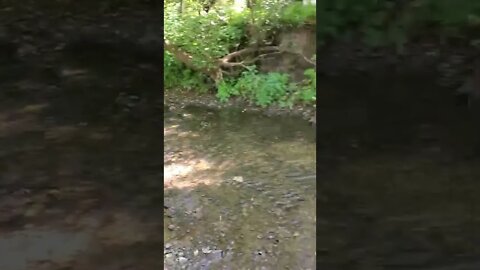 good looking creek!
