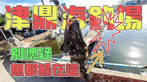 【台客去釣魚】這間海釣場老闆有毛病！竟然把魚在哪都跟你講叫你快去釣！ feat.津鼎海釣場