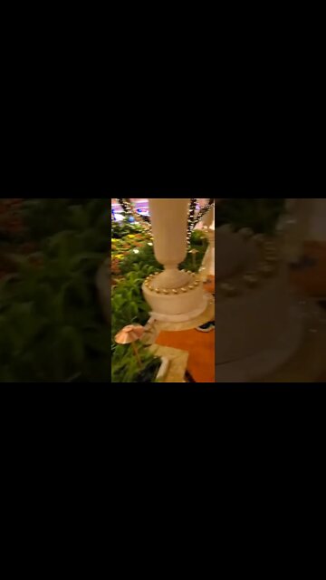 Ares Jack Russell visits Wynn Hotel Vegas beautiful indoor garden