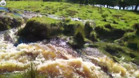 CAMPING after Storm, cooking meatloaf in Forest