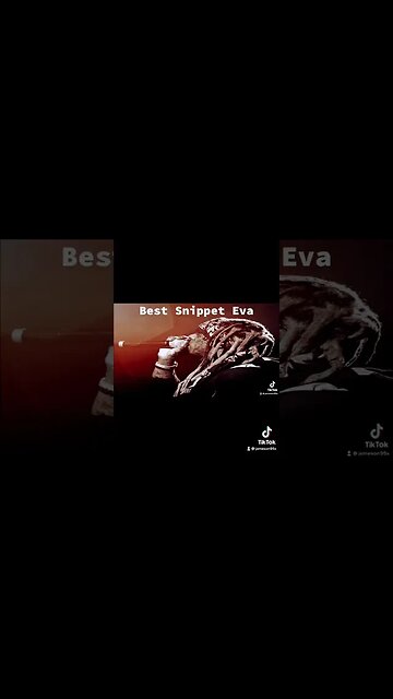 Best Snippet Ever - Lil Wayne Dominace