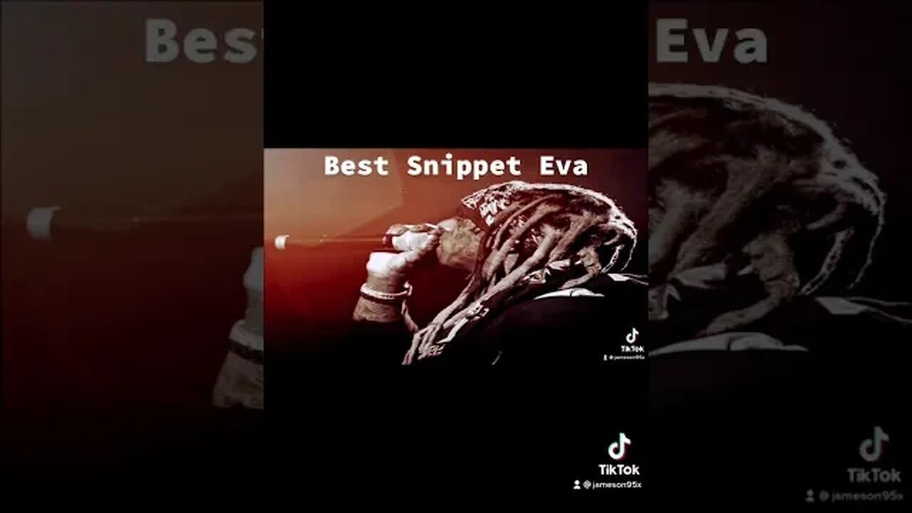 Best Snippet Ever - Lil Wayne Dominace