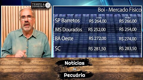 Boi gordo vai sofrer maior pressão com fêmeas no gancho.