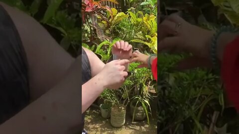 Marriage Proposal In Philippines