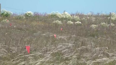 Mine-clearance of Arabatskaya Strelka by Russian servicemen