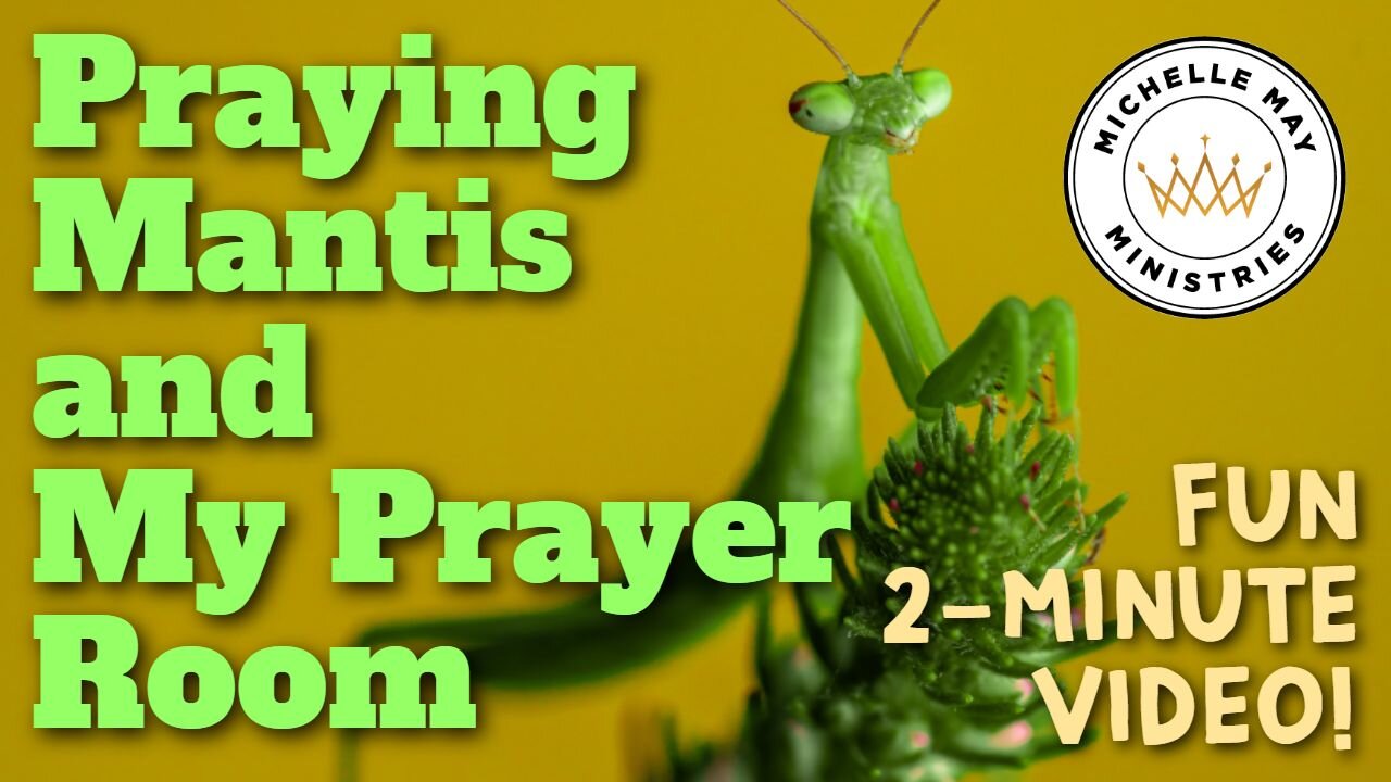 Praying Mantis and My Prayer Room