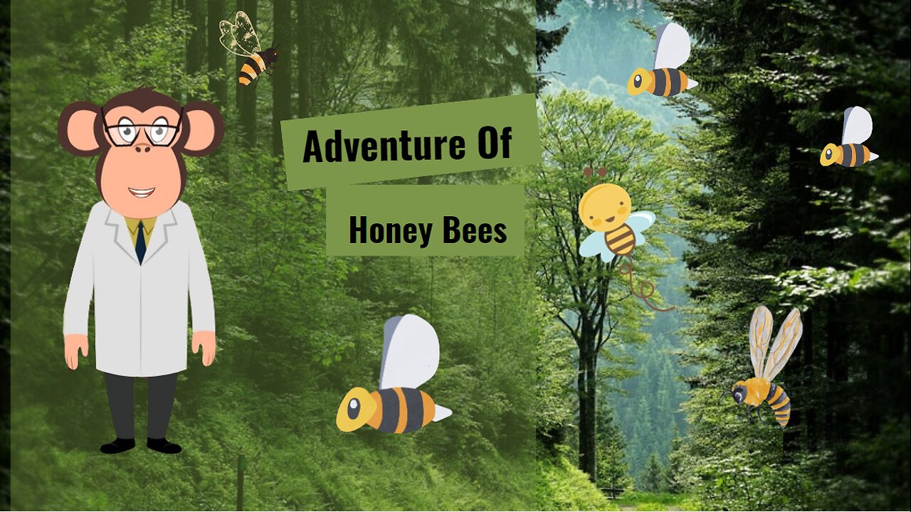 Adventure of Honey Bees | Hope you all like it .