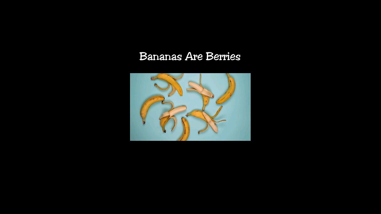 🍌Banana Are Berries?