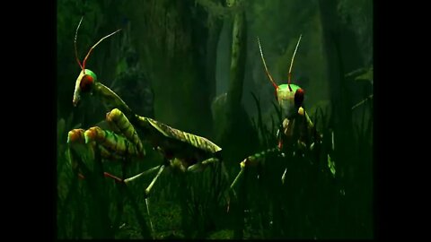 27 Darfar The Black Kingdoms