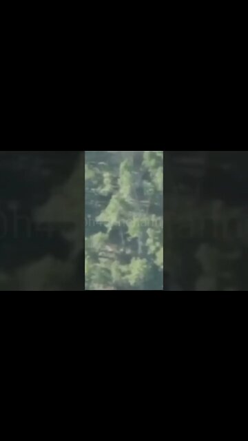 Putin habisi Ukraine #shorts #viral #video #youtubeshorts