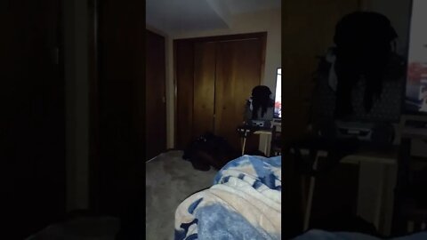 Blue Orbs filmed flying in room- October 31, 2022- Cari Dell