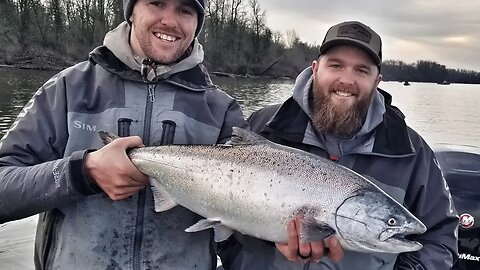 High Water Spring Salmon Fishing (Live Fishing Show)