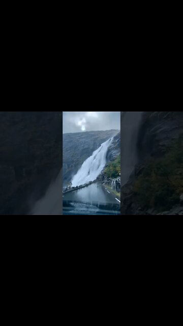 All Its Glory, Rate This Place #Livesty #nature #ytshorts #shorts #shortsfeed #viral #trending