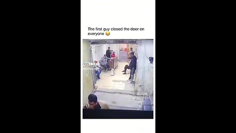 The dog