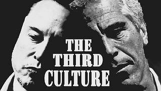 Musk and Epstein: The Third Culture Dossier - A Johnny Vedmore Read Through