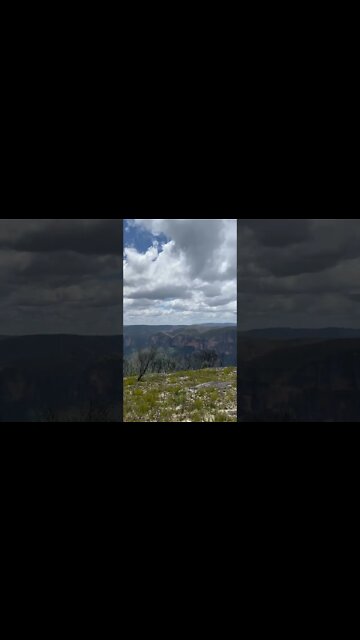 The rugged Australian landscape at the Blue Mountains