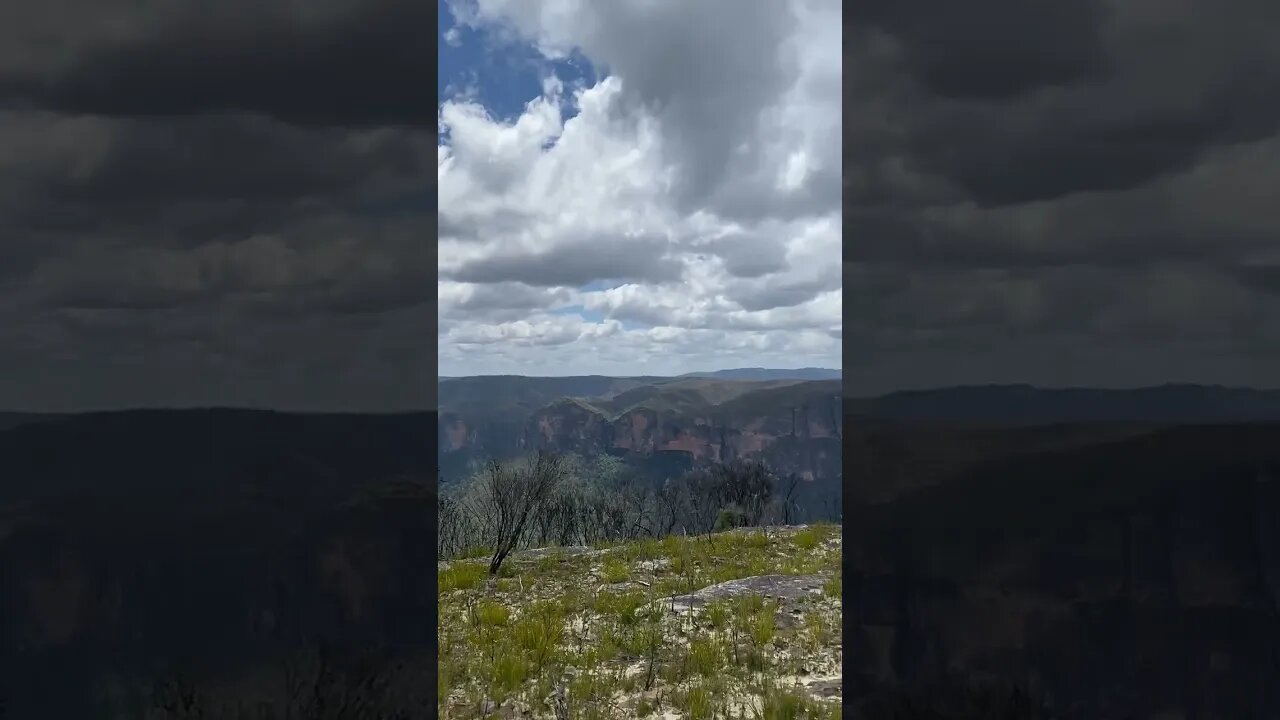 The rugged Australian landscape at the Blue Mountains