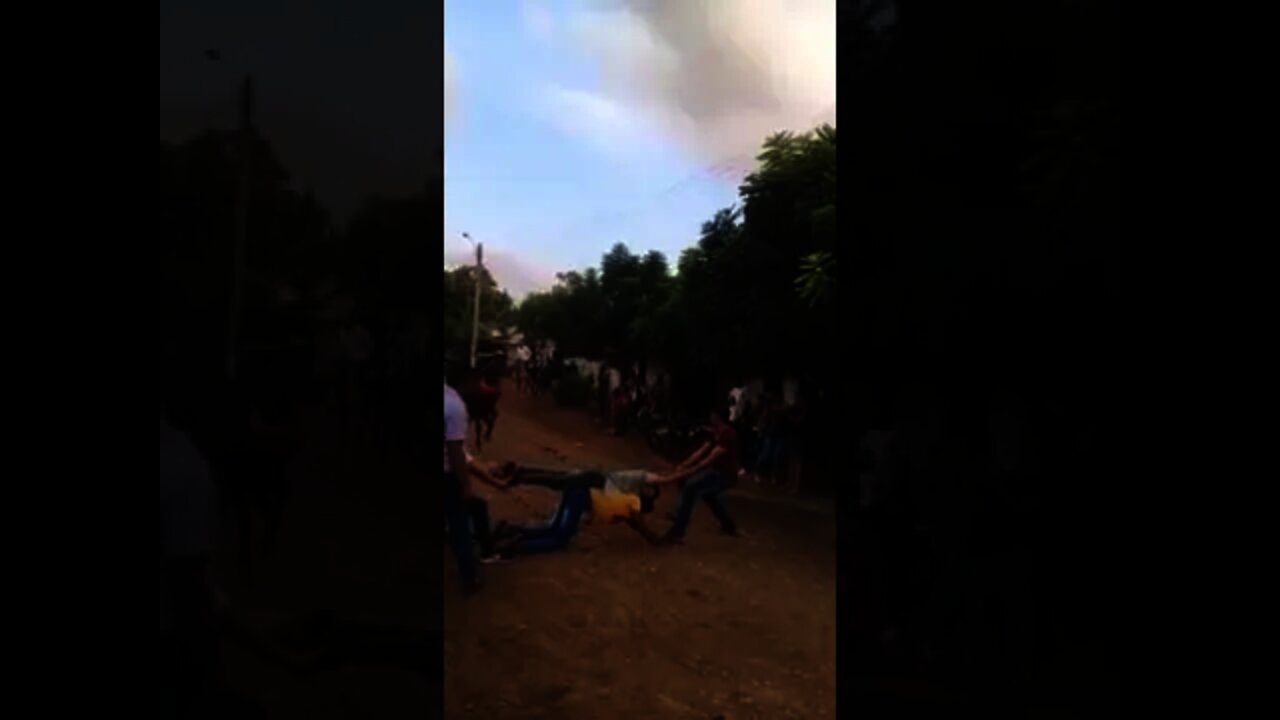 intelegance human #horse #tiktok #viral #funny