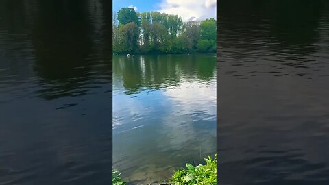 On the Beautiful River Thames🏴󠁧󠁢󠁥󠁮󠁧󠁿 | 🎧Interlude of the Night Fall by Pamela Storch