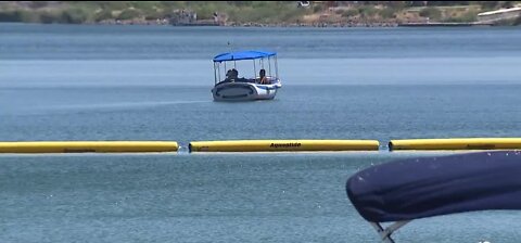 Bring your dog to the lake event