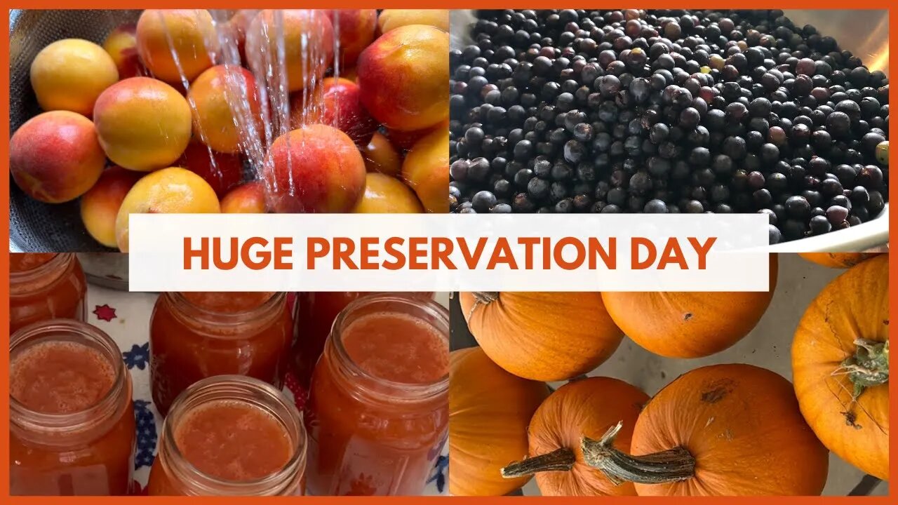 Huge Preservation Day