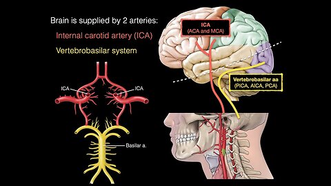 Blood supply to the brain