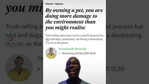 Pets are now a danger?