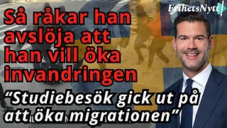 Migrationsminister Forssell avslöjar hur han vill fortsätta invandringen - "Det är helt jävla sjukt"