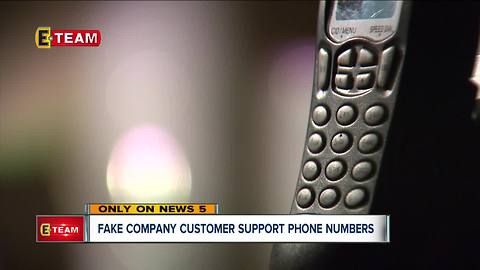 Fake company customer support numbers