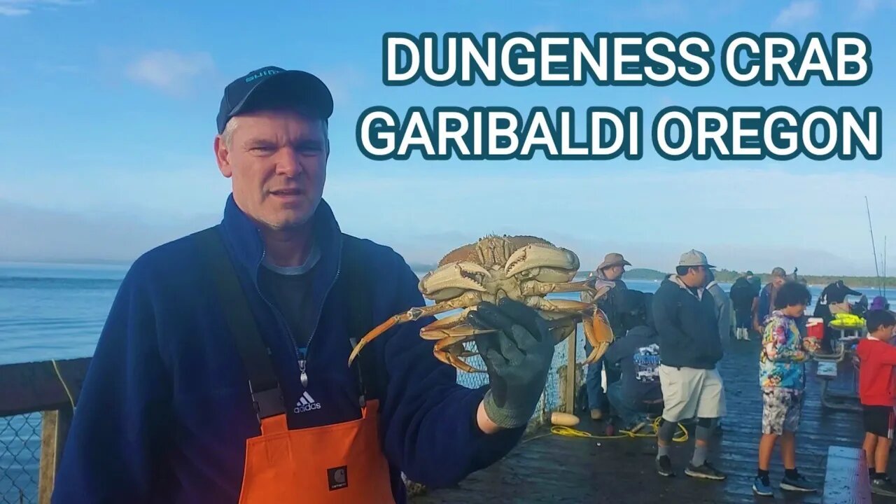 DUNGENESS CRAB/CRABBING OFF A DOCK/ GARIBALDI OREGON