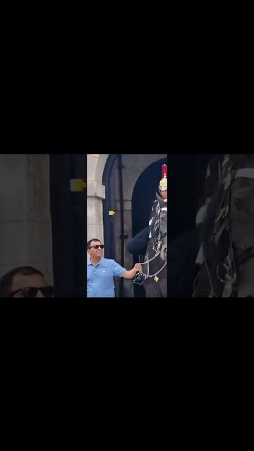 He grabbed the chain #horseguardsparade