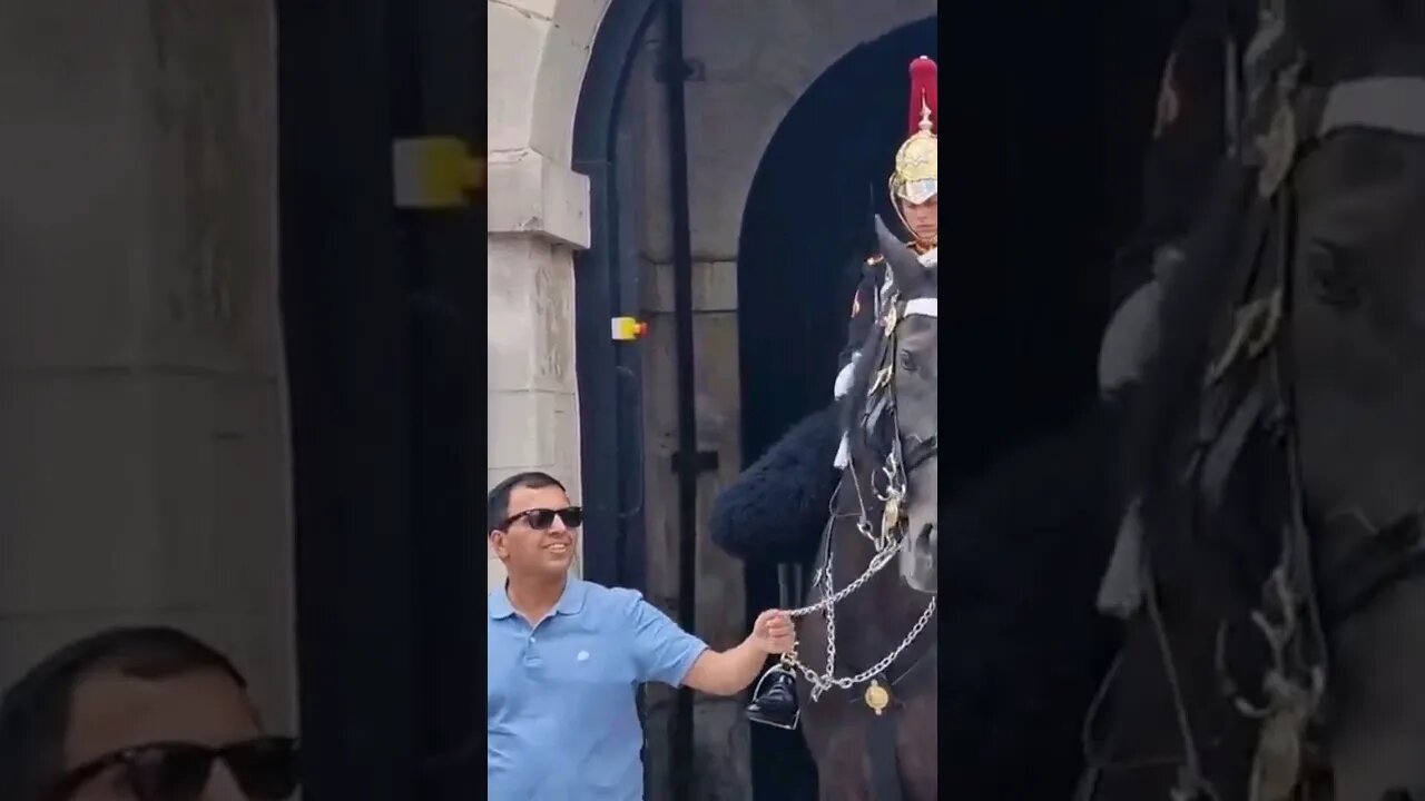 He grabbed the chain #horseguardsparade