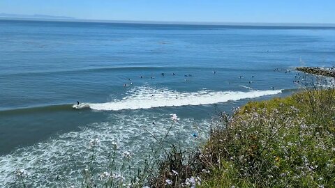 Capitola Waves