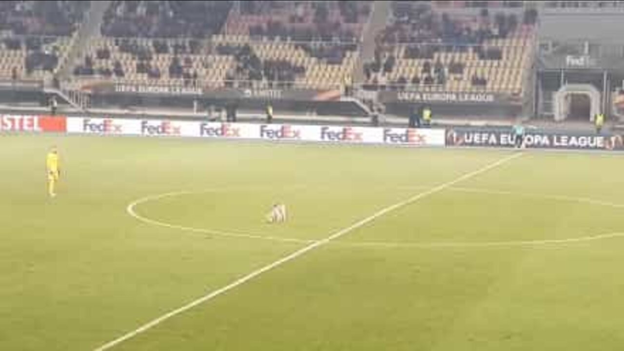 Un chien s'invite à un match de Ligue Europa