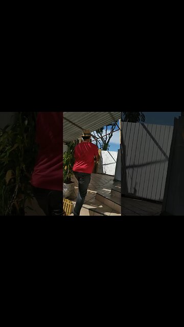 setra , atiradeira, estilingue de bambu #shorts