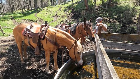 Day in the Life of an American Rancher