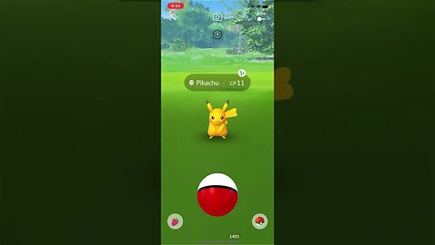 Shiny Compilation