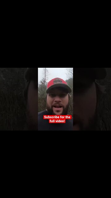 Will deer eat corn out of an ANT BED?