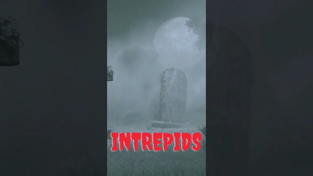 Halloween 🎃 Spook Time | Intrepids