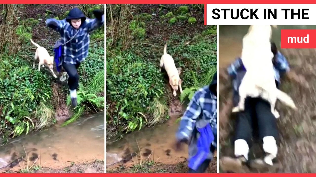 'Show-off' dog owner tries to leap across flooded path - falls in mud instead