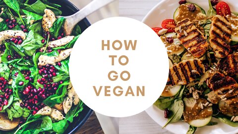 HOW TO GO VEGAN🥗🥙🥙🍒🍒🍆