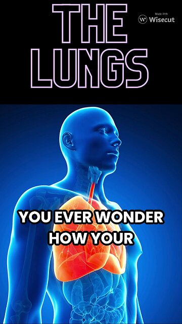 SkillSnacks: The Lungs