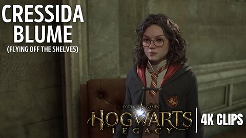 Flying Off The Shelves Full Side Quest & Both Outcomes | Hogwarts Legacy 4K Clips
