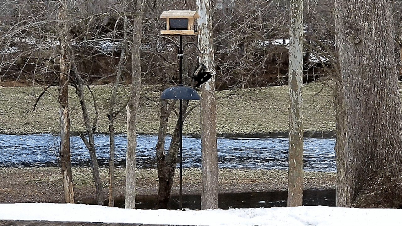 PETE GETTING SOME BREAKFAST