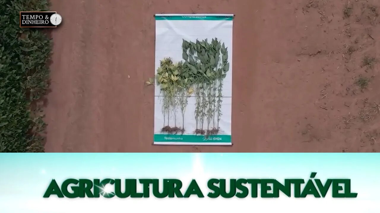 Agricultura Sustentável - com Frederico Olivi