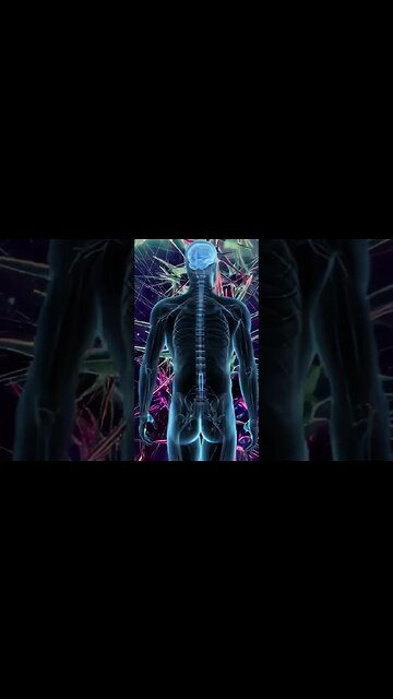 Neuro-enhancement Meditation: Cultivating Focus & Memory Through Enhanced Neuronal Connections