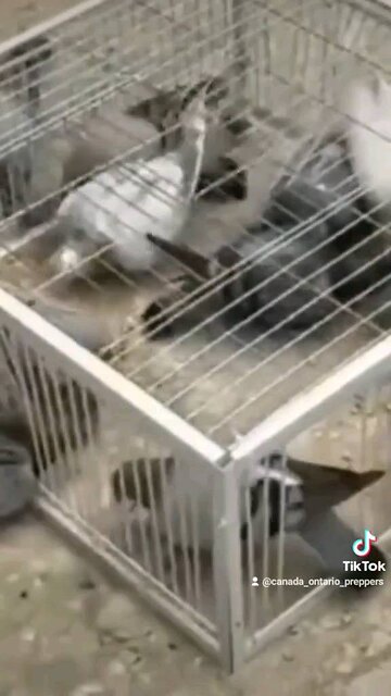 Free food is everywhere