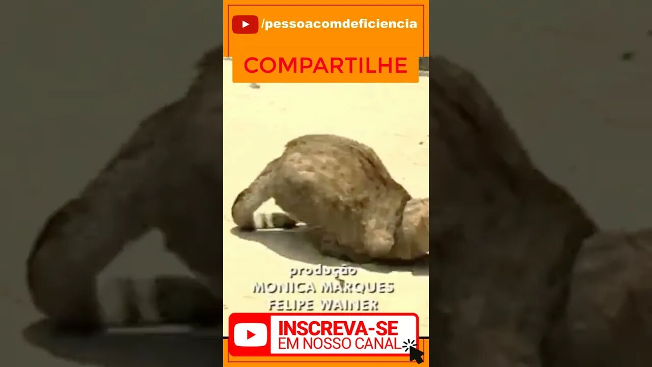 Vamos ver se o youtube vai mostrar este vídeo sobre Pessoa com deficiência